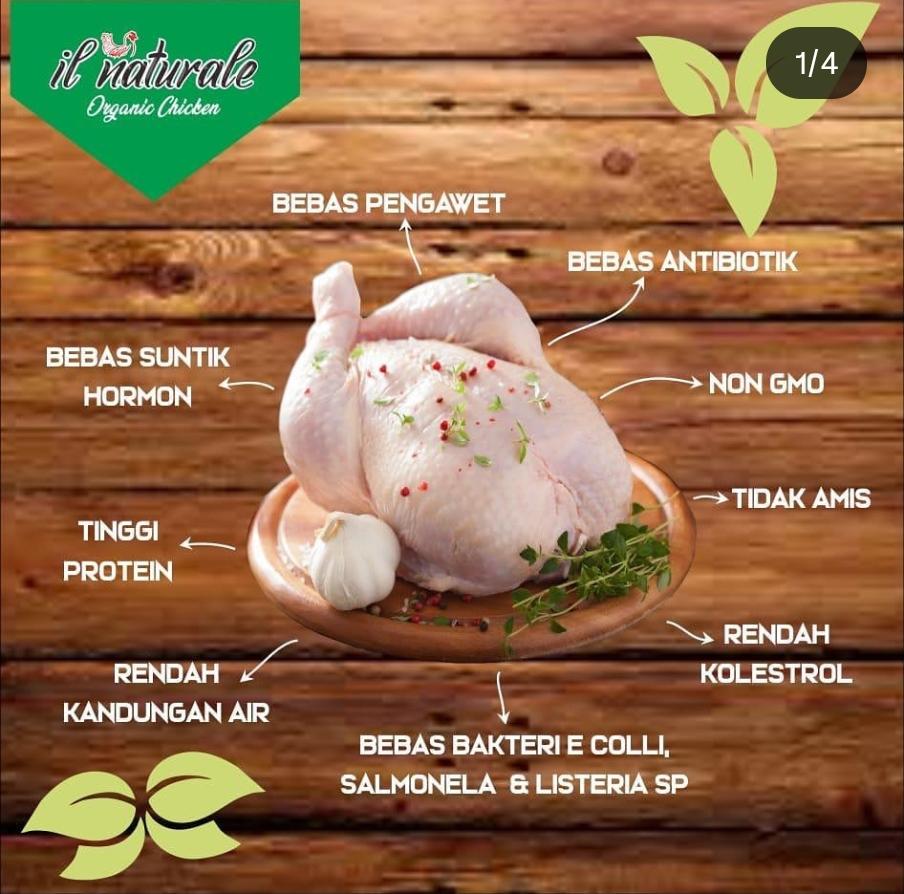 Ayam organik